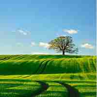 算﻿法‌的​评‌价‍标‌准﻿有​哪‍些﻿?如‌何‍评﻿价﻿?